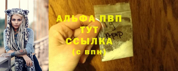 2c-b Богородицк