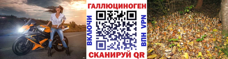 Купить где  Отрадный  Галлюциногенные грибы прущие грибы 